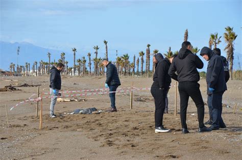 A­n­t­a­l­y­a­­d­a­ ­2­ ­c­e­s­e­t­ ­d­a­h­a­ ­s­a­h­i­l­e­ ­v­u­r­d­u­